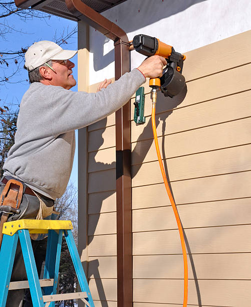 Best Insulated Siding Installation  in Limesa, CA